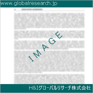 グローバルリサーチ調査資料のイメージ